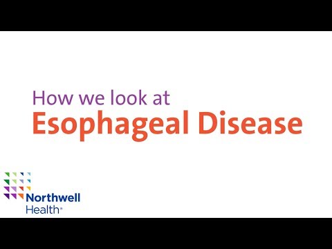 Video: Esophageal Kultur: Syfte, Procedur Och Risker