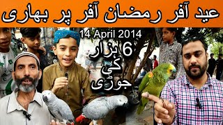 Exotic birds market lalukhet April 14, 2024 | Cheapest price birds market in pakistan | Birds market by A 4 ali shah 1,290 views 1 month ago 21 minutes