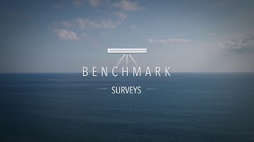 Benchmark Surveys