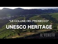 "LE COLLINE DEL PROSECCO" - UNESCO HERITAGE