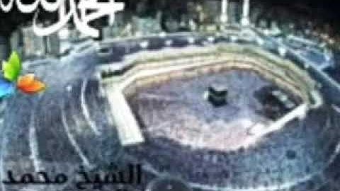 سورة الكافرون،، الشيخ محمد المحيسني