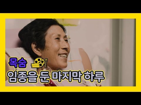   목숨 임종을 둔 마지막 하루