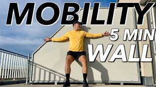 5 Min Daily Wall Mobility Routine | Follow Along Exercises screenshot 5
