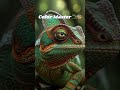 The Secret Power of the Chameleon (It’s Not What You Think) 🦎🔥