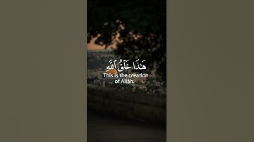 تلاوة من سورة لقمان القارئ شريف مصطفى