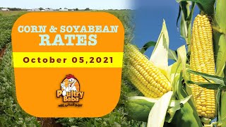 Today Corn and Soya bean Price in Ghala Mandi  | Maize Rates In Pakistan | Poultry Baba | 05-10-2021