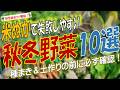 【秋野菜編】米ぬかで失敗しやすい秋冬野菜ランキング（夏の土作りで米ぬかを使うと育ちが悪くなる野菜10選）