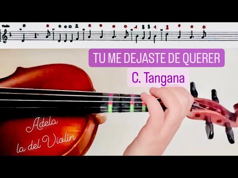 TU ME DEJASTE DE QUERER - C. TANGANA
