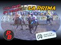 LA PRIMA: COPA CHALLENGER SPC HEMBRAS - J.C. SAN FRANCISCO (28-11-2021)