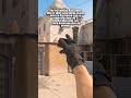 Mais c'est quoi le Float sur Counter-Strike ? #cs2 #csgo
