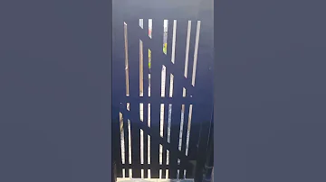 Side of house glow-up using a Dizzy Duck Designs patio stencil and black masonry paint.