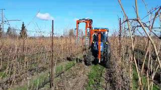 Pre-pruner