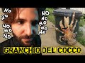 Il mostruoso GRANCHIO DEL COCCO - SCIENZA BRUTTA