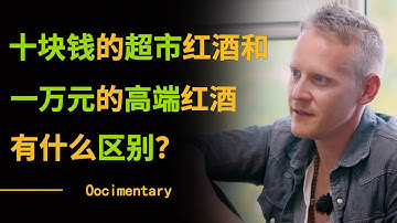 为什么一瓶红酒能卖到上万元？都是葡萄酿造，十块钱的超市红酒和一万元的高端红酒有什么区别？#圆桌派 #许子东 #马家辉 #梁文道 #锵锵行天下 #观复嘟嘟 #马未都