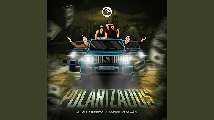 POLARIZADOS