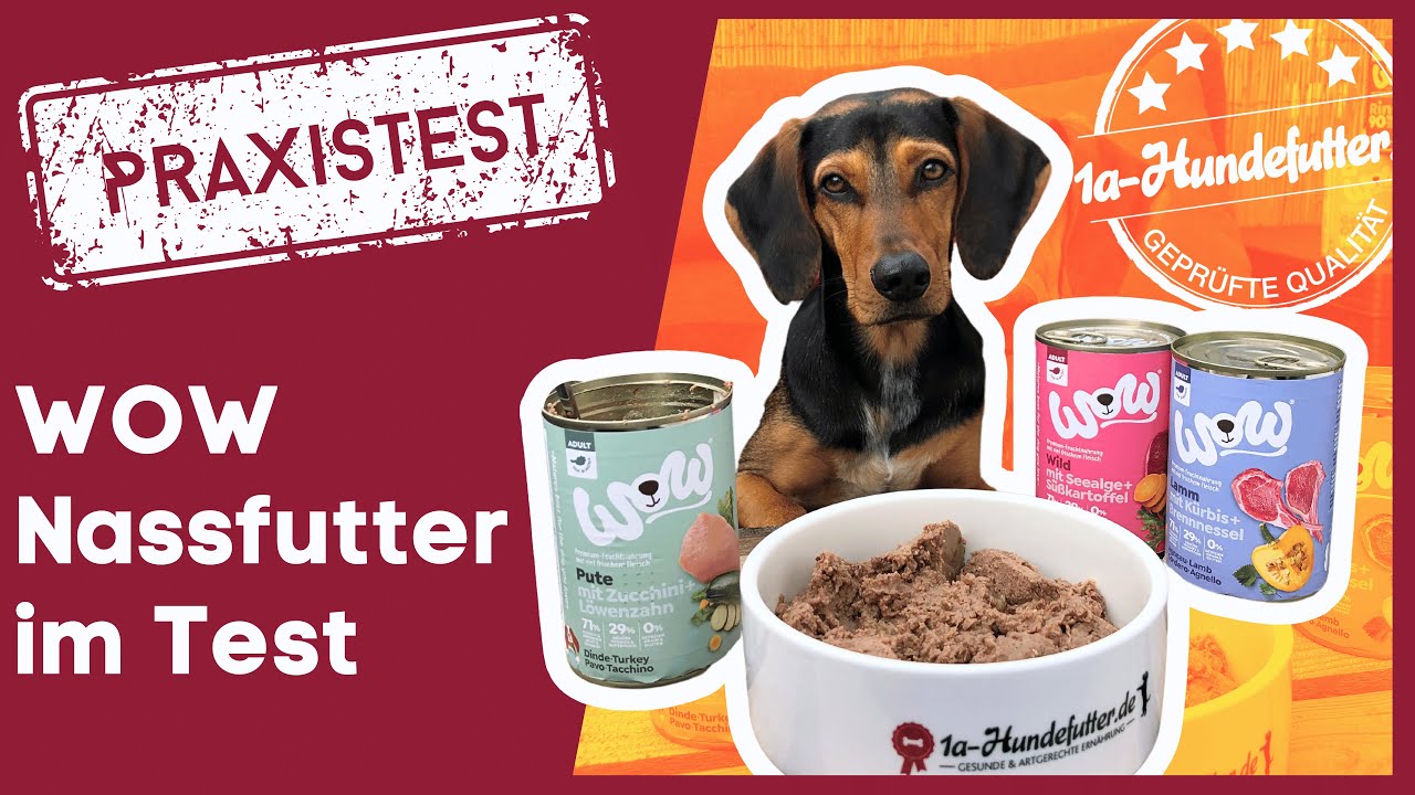 josera hundefutter adult Josera Josi Dog Adult Sensitive  Dogspot Tierbedarf