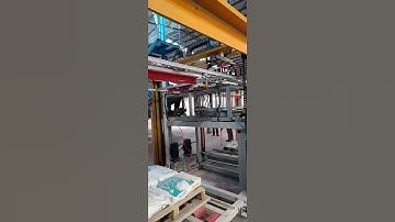 Robotic Servo Gantry Bag Carton Palletizer,Pallet Palletising machine works with Pallet dispenser