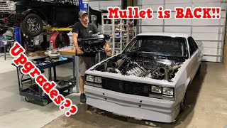 Mullet is Back at KSR!! Time for Some Upgrades!!!