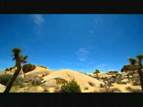 Everlost parte 2- In flames, subtitulado.wmv