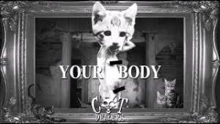 Cat Dealers vs Valentino Khan  - Pump Your Body (M@GGiC MASHUP)