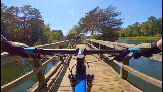 Perfect Pine Forest | Mountain Biking at Tyler State Park (Tyler, TX)