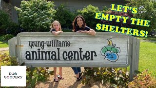 Let's Empty the Shelters!