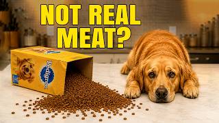 DON'T Feed Your Dog These 9 US Kibble Brands (And 3 Vets Actually Recommend)