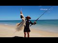 Crazy Shovel Nose Shark Session, Drone Shark Fising, 5 hook ups