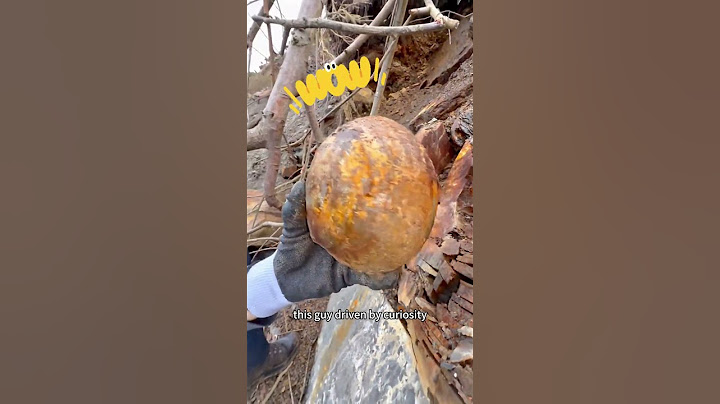 So, this is what's inside a dinosaur egg!