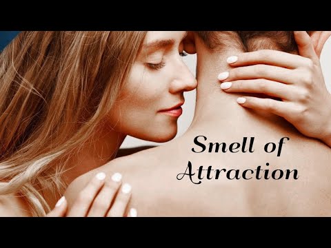 Smell of Attraction: 7 Tips For Men To Always Smell Good