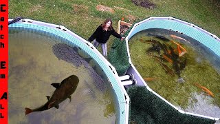 BUILDING GIANT EXOTIC FISH PONDS in BACKYARD! ** FINALLY DONE**