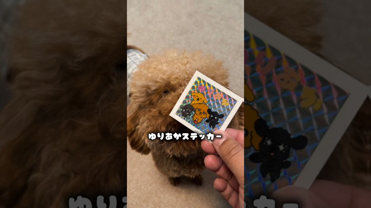 ゆりあかステッカー作ってみた🐶🐾‪‪😂❣️