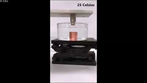 Bio-inspired reversible underwater adhesive