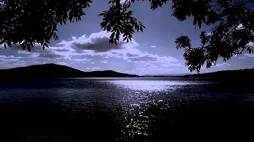زياد باتل | سورة النازعات (قراءة خاشعه)