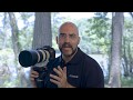 Canon EOS 7D Mark II Auto Focus Guide - Basics of Bird in Flight Photography