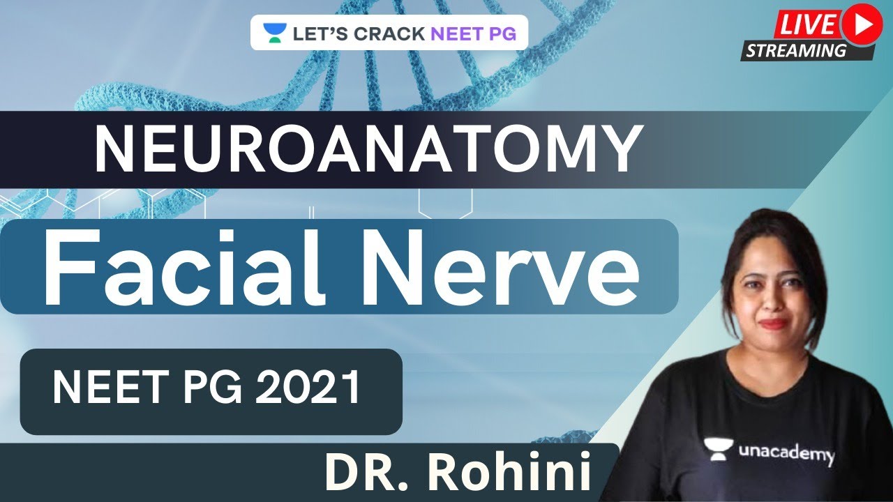Facial Nerve | Neuroanatomy | Dr. Rohini