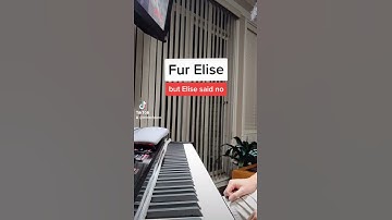 Thumbnail of Fur Elise but Elise said no