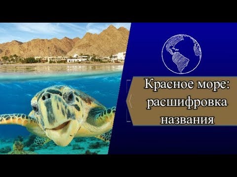 Красное море: расшифровка названия, основные факты