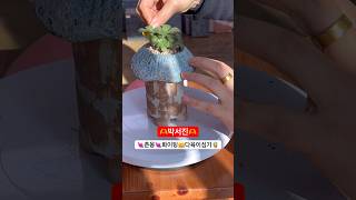 박서진 춘몽 화이팅 Park Seojin, Fighting