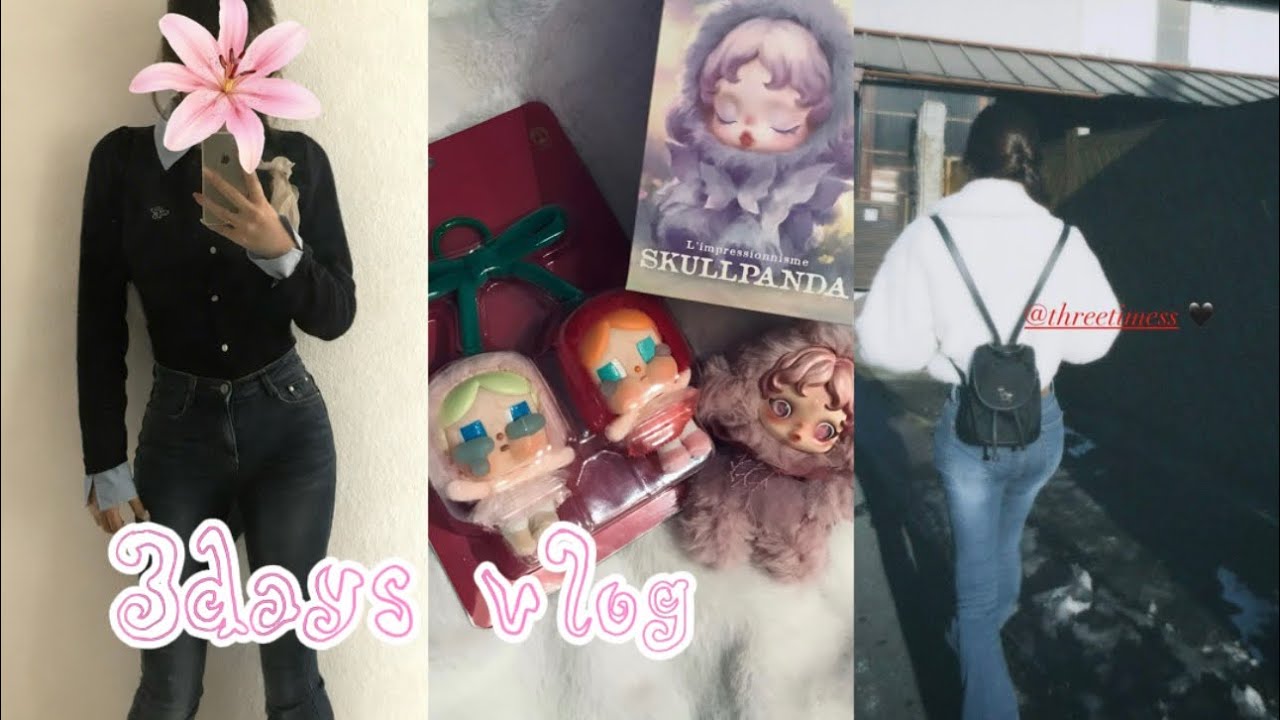 KR)被服学生の3日間daily vlog🪡🩶/popmart🤍/焼肉/肌管理🪞/成田山/布屋🧵