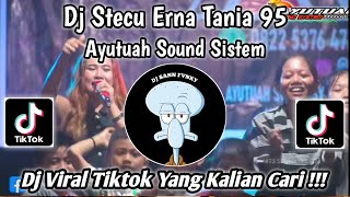 DJ STECU ERNA TANIA | AYUTUAH SOUND SISTEM | DJ VIRAL TIKTOK TERBARU 2025 YANG KALIAN CAR I!!!