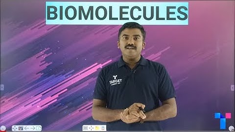 Plus one focus area 2021 | Biomolecules | Target Learning App