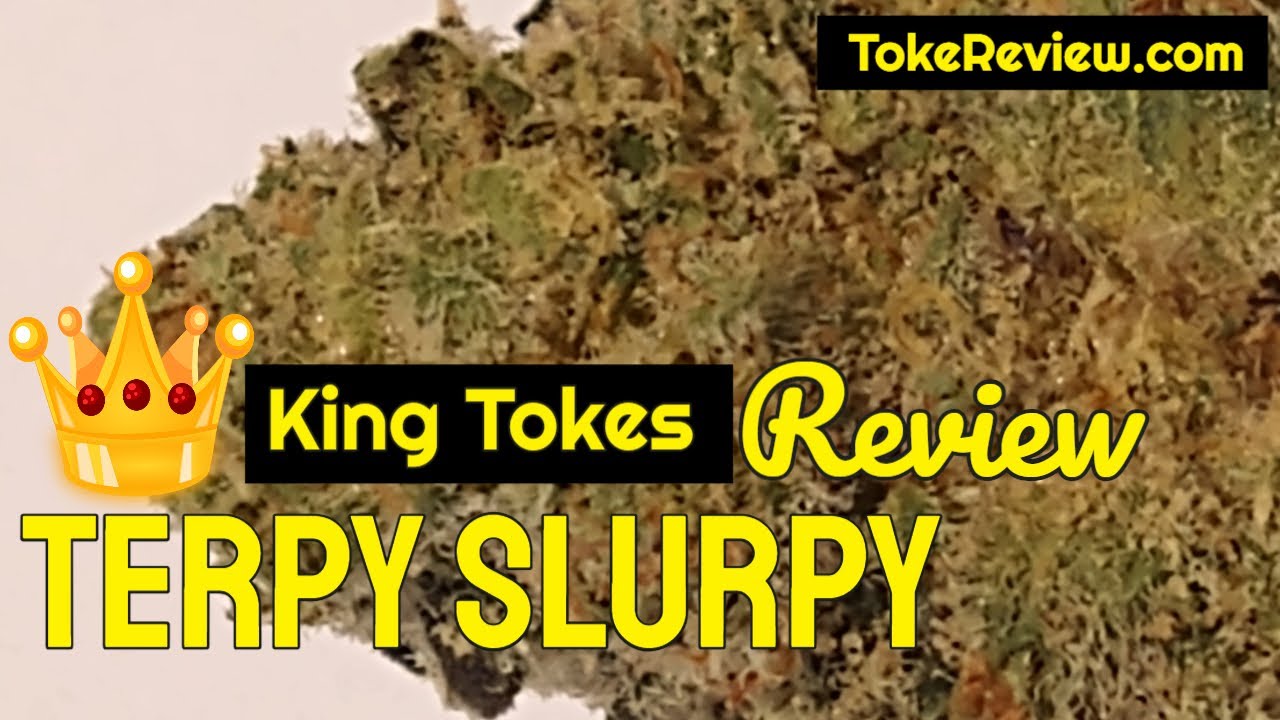 Terpy Slurpy marijuana strain review by King Tokes