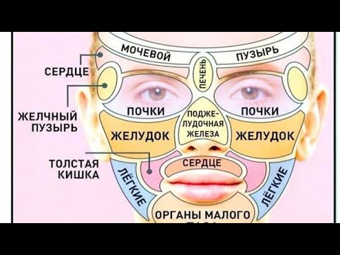 Katta Dick anal bilan porno