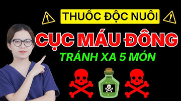 5 món ăn nguy hiểm làm tăng nguy cơ hình thành cục máu đông | Dược sĩ Thảo