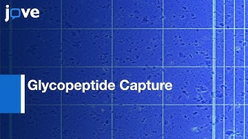 Glycopeptide Capture For Cell Surface Proteomics l Protocol Preview