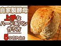 【自家製酵母】上手なハード系パンの作り方～5つのポイント～