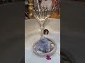 KUBERESHWAR MAHADEV DUDHABHISHEK TODAY DARSHAN | JYOTIRLINGA DARSHAN | SHIV SHANKAR | BHOLENATH DEV