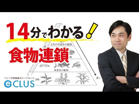 小3生物学習活動 小3生物学習活動