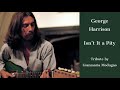 George Harrison - Isn’t It a Pity (Tribute By Gianmaria Modugno)